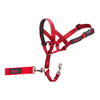 Product Κολάρο Εκπαίδευσης Σκύλων Company of Animals Halti Ρύγχος (31-40 cm) base image