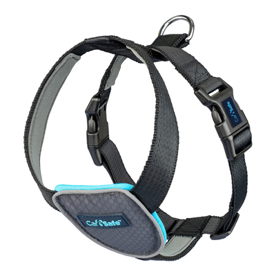 Product Λουρί Σκύλου Company of Animals CarSafe Μαύρο Μέγεθος L base image