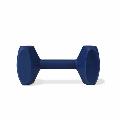 Product Αλτήρας Coachi TRAINING DUMBBELL Μπλε base image