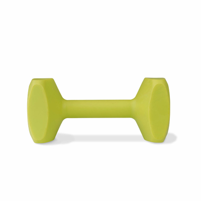 Product Αλτήρας Coachi TRAINING DUMBBELL 12 Πλαστική ύλη base image