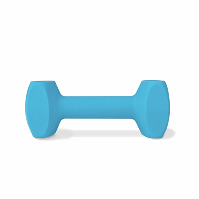 Product Αλτήρας Coachi TRAINING DUMBBELL Μπλε L Πλαστική ύλη base image