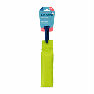 Product Training toy Coachi base image