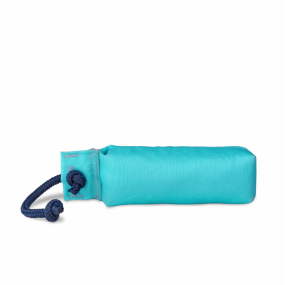 Product Training toy Coachi TRAINING DUMMY Μπλε base image