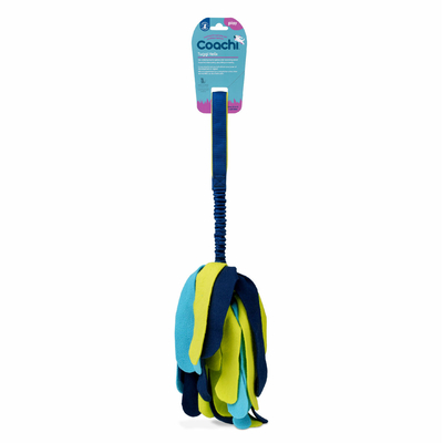Product Training toy Coachi TUGGI SPIDER Μπλε base image