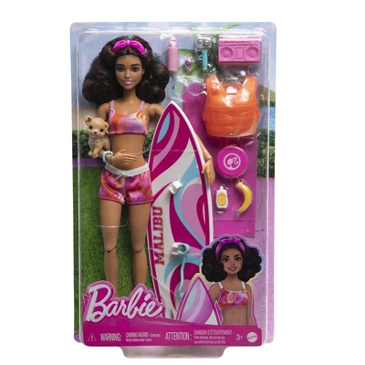 Product Mattel Barbie: Beach Doll with Surfboard (HPL69) EN,FR,DE,IT,NL,ES,PT,SE,FI,DK,NO,BG,PL,CZ,SL,HU,RO,GR,TR,RU,AR Pack / Carton Blister Pack base image