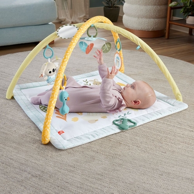 Product Fisher-Price® Simply Senses Newborn Gym (HRB15) base image