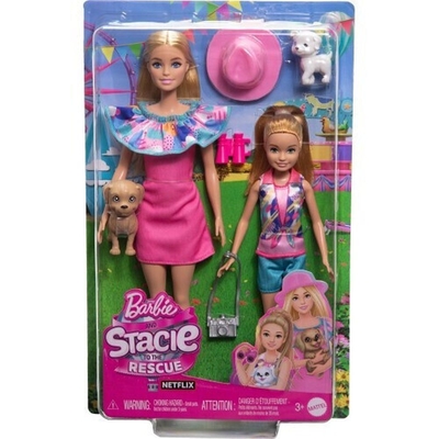 Product Mattel Barbie Stacie To The Rescue - Doll Set with 2 Pet Dogs Accessories (HRM09) EN,FR,DE,ES,NL,PT,SE,FI,DK,NO,PL,CZ,SL,HU,BG,GR,TR,RO,RU,HRV,SK,ET,AR Pack / Carton Blister Pack base image