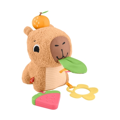 Product Fisher Price  Snuggly Snacky Capy (HYR54) base image
