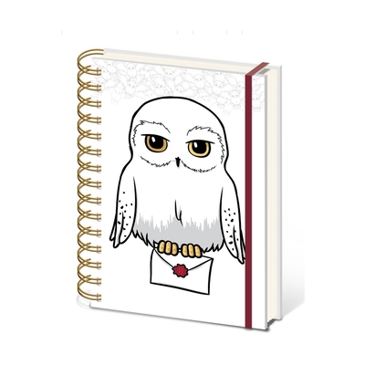 Product Σημειωματάριο Pyramid: Harry Potter - Special Delivery A5 Wiro Notebook (SR74526) base image
