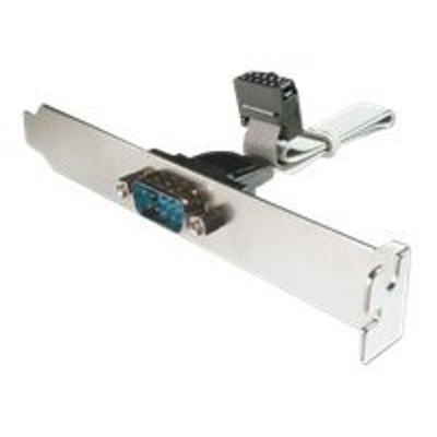 Product Αντάπτορας Digitus slot bracket adapter cable - DSUB (9-pin)/socket strip (10-pin) - 25 cm base image