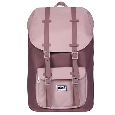 Product Τσάντα Laptop 8848 Travel Backpack 15,6' UNISEX Waterproof PALE MAUVE base image