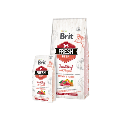 Product Ξηρά Τροφή Σκύλων Brit Fresh Beef with Pumpkin Puppy Large Bones & Joints 12 kg Adult base image