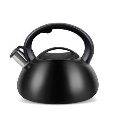 Product Τσαγιέρα Promis TMC01BS AUGUSTO MATTE 3 liters INDUCTION, GAS base image