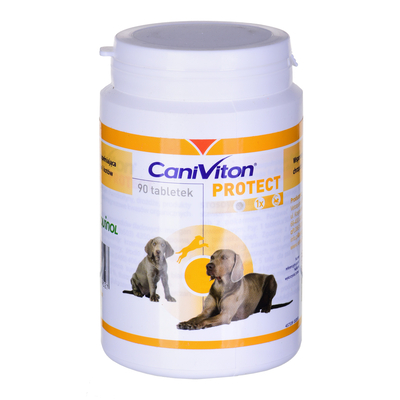 Product Συμπλήρωμα Διατροφής Κατοικίδιου Vetoquinol Caniviton Protect - 90 tablets base image