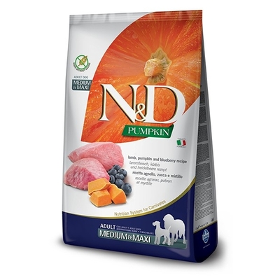 Product Ξηρά Τροφή Σκύλων Farmina N&D GF PUMPKIN LAMB&BLUEBERRY ADULT MEDIUM/MAXI 12 KG base image