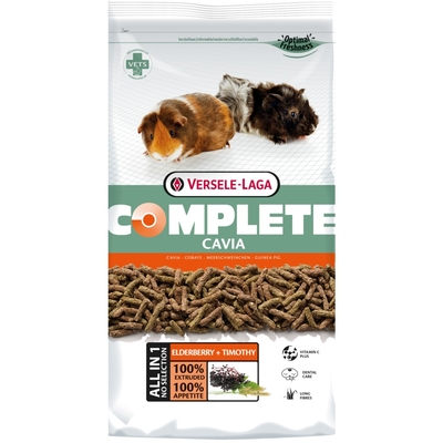 Product Τροφή Τρωκτικών Versele-Laga Complete Cavia - Guinea pig - 500 g base image