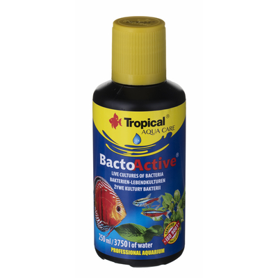 Product Βελτιωτικό Νερού Ενυδρείου Tropical Bacto-Active - live bacteria cultures for aquarium - 250 ml base image