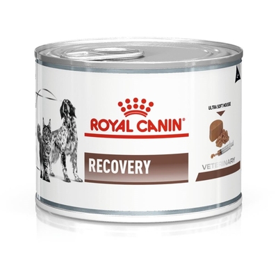 Product Υγρή Τροφή Σκύλων Royal Canin Recovery Wet dog and cat Mousse Poultry, Pork 195 g base image