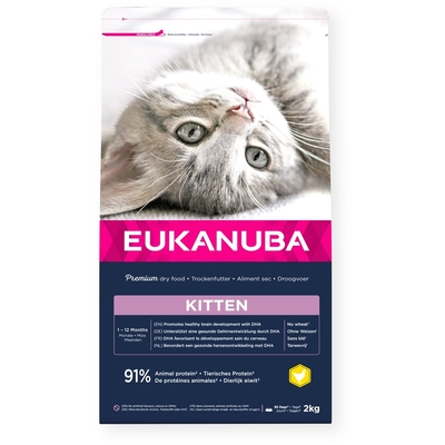Product Ξηρά Τροφή Γάτας Eukanuba Kitten Chicken 2 kg base image
