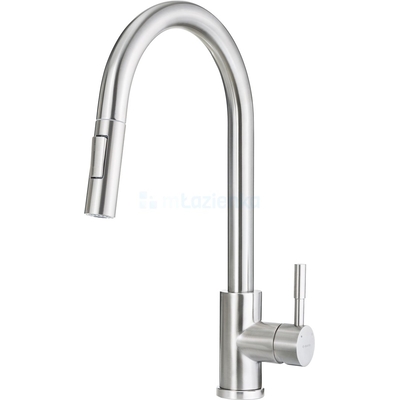 Product Μπαταρία Κουζίνας Deante PULL-OUT SPRAY TWO FLOWS, BRUSHED STEEL LIMA base image