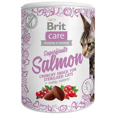 Product Σνακ Γάτας Brit Care Superfruits Salmon 100 g base image