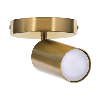 Product Σποτ Activejet SPECTRA single gold ceiling wall lamp GU10 for living room base image