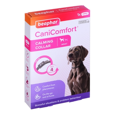 Product Κολάρο Beaphar with pheromones for dogs - 65 cm base image