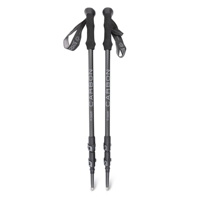 Product Trekking Pole Set Endura Carbon base image
