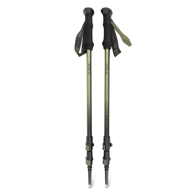 Product Trekking Pole Set Explorer base image