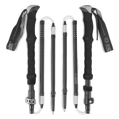Product Trekking Pole Set Trailblaze base image