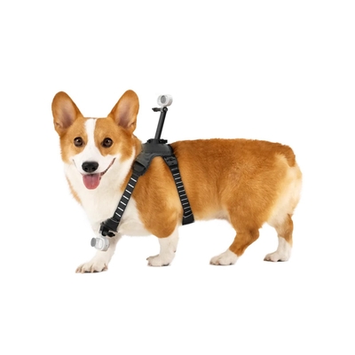 Product Αξεσουάρ Action Cameras Insta360 Go 3/Go 3S Pet Harness Mount Size M base image