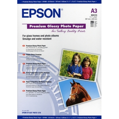 Product Χαρτί Εκτύπωσης Epson Premium Glossy Photo C13S041315 base image