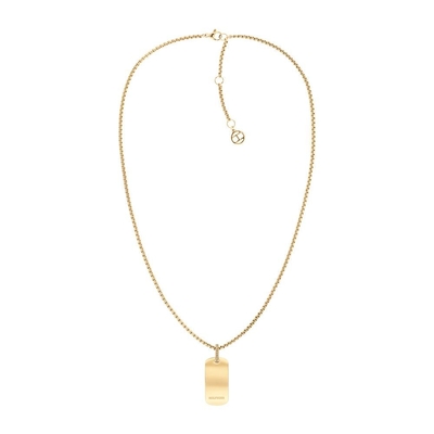 Product Γυναικείο Κολιέ Tommy Hilfiger 2780862 (50cm) από Ατσάλι Golden base image