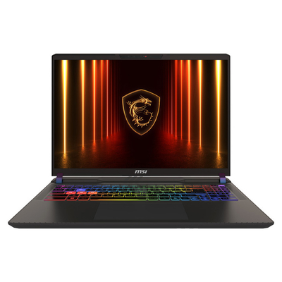 Product Laptop MSI 16" Vector 16 HX AI A2XWIG U9 275HX/32GB/1TB PCIe 4.0/NVidia GeForce RTX 5080 16GB/Win 11 Home/Cosmos Gray (9S7-15M352-636) base image