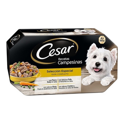 Product Υγρή Τροφή Σκύλων Cesar (4 x 150 g) base image