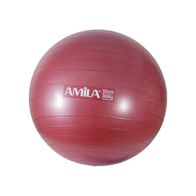 Product Μπάλα Γυμναστικής Amila 48412 Φ55cm base image