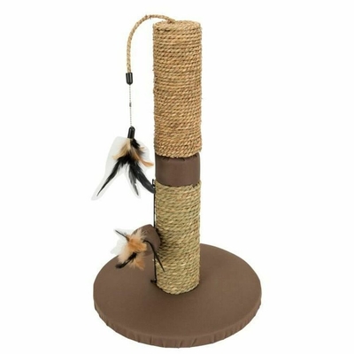 Product Αποξέστη για Γάτες Aimé 48 x 30 cm  base image
