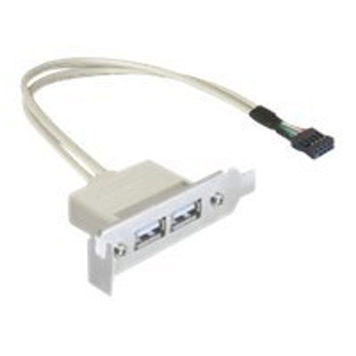Product Αντάπτορας USB DeLock Slot bracket - USB to 9-pin USB header - 50 cm base image