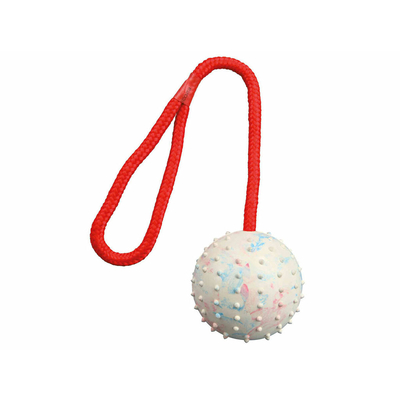 Product Παιχνίδι για Σκύλους Trixie Φυσικό καουτσούκ ? 7 ? 30 CM base image