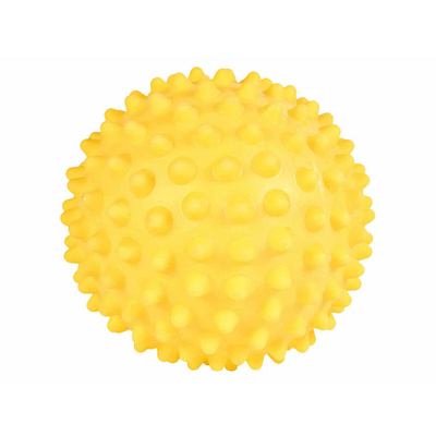 Product Παιχνίδι για Σκύλους Trixie ? 16 cm base image