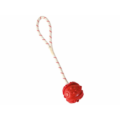 Product Παιχνίδι για Σκύλους Trixie Φυσικό καουτσούκ ? 7 ? 35 CM base image
