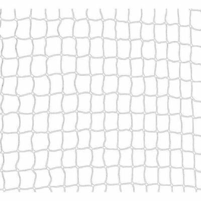 Product Δίχτυ ασφαλείας Trixie 44323 Γάτα Διαφανές Νάιλον 4 x 3 m  base image