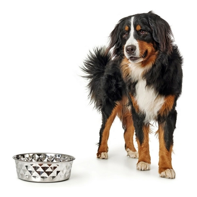 Product Ταΐστρα Σκύλων Hunter Namy Ασημί Ανοξείδωτη Κομψή (23,2 x 27,7 x 8,5 cm) base image