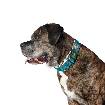 Product Κολάρο Σκύλου Hunter Plus Νήμα turquoise Τυρκουάζ Μέγεθος XL (45-70 cm) base image