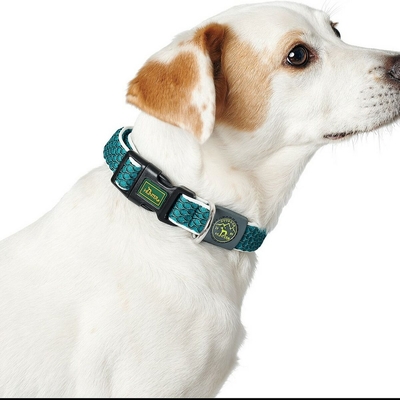 Product Κολλάρο Σκύλου Hunter Basic Νήμα Μπλε Μέγεθος M Blue (33-50 cm) base image