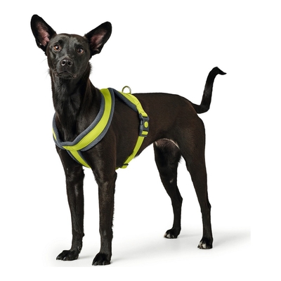 Product Λουρί Σκύλου Hunter London Comfort XS-S 39-47 cm γκράφιτι base image