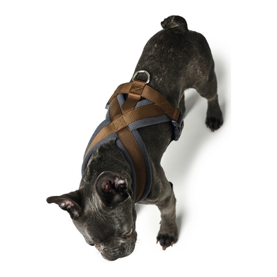 Product Λουρί Σκύλου Hunter London Comfort 48-56 cm Καφέ Μέγεθος S/M base image