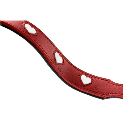 Product Λουρί Σκύλου Hunter Κόκκινο 2 m Ρυθμιζόμενο base image