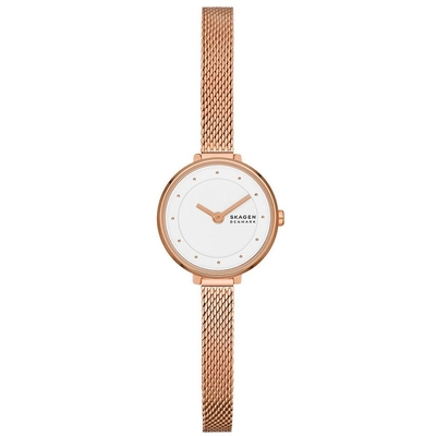 Product Ρολόι Γυναικείο Skagen GITTE LILLE (? 22 mm) base image
