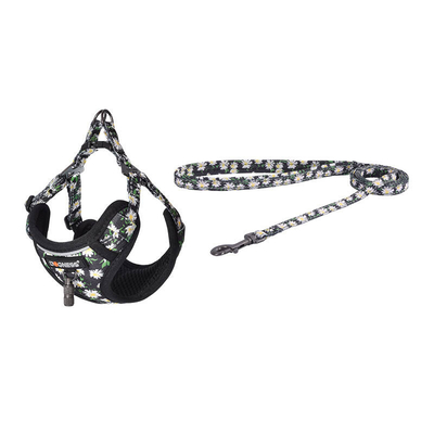 Product Σαμαράκι Dogness walking set leash 1,5m+harness for dog (multicolor) base image